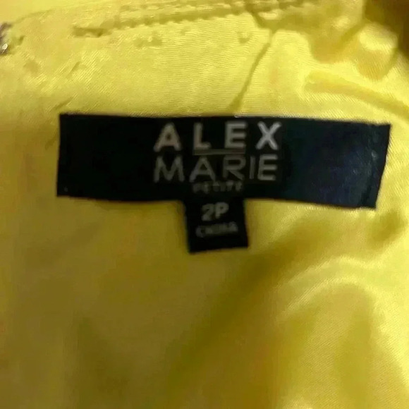 Alex Marie Sleeveless Sheath Dress - Picture 4 of 6